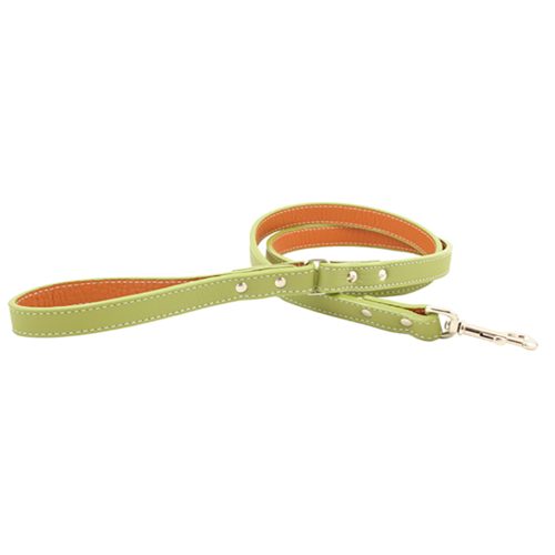 green leather leash
