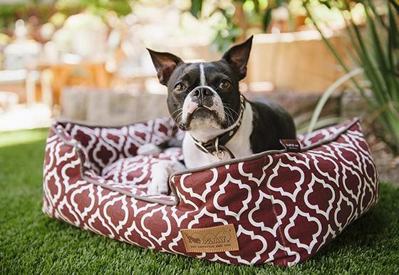 The Dependable Luxury Dog Beds That Every Pet Parent Wants
