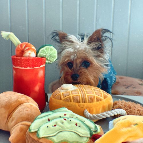 Mango Barking Brunch Toy Collection