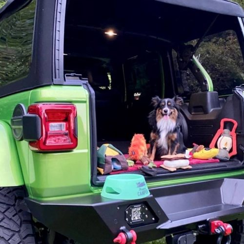 Camp Corbin Toys for Adventure Pups