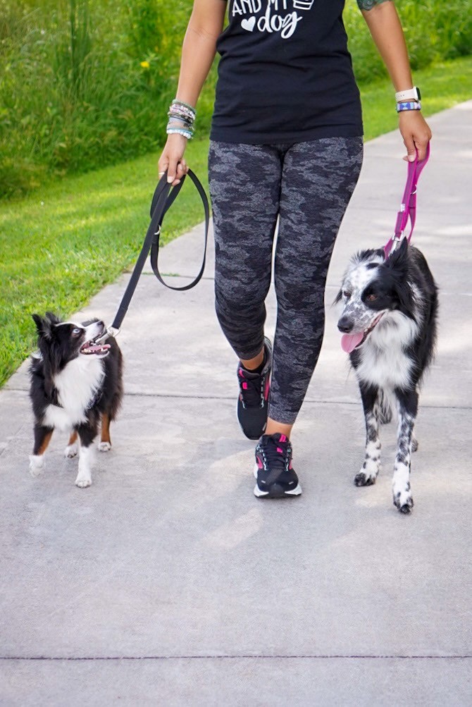 How To Leash Train Your Dog: No More Pulling on Leashes