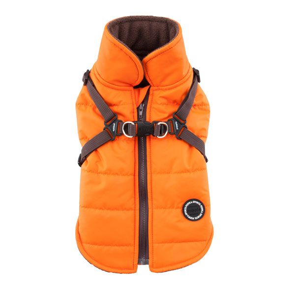 orange coat with harness