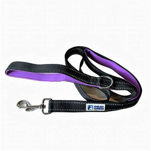 Purple reflective leash