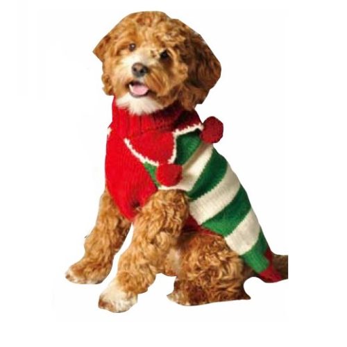 Dog with Elf sweater